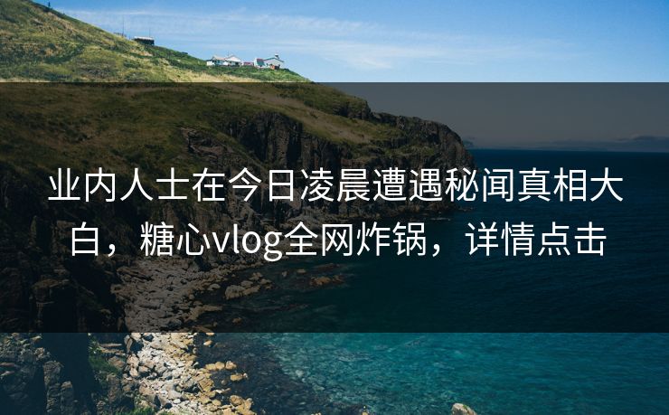 业内人士在今日凌晨遭遇秘闻真相大白，糖心vlog全网炸锅，详情点击