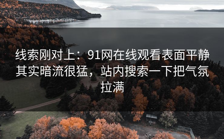 线索刚对上：91网在线观看表面平静其实暗流很猛，站内搜索一下把气氛拉满