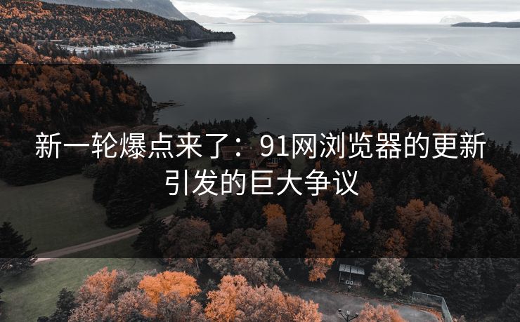 新一轮爆点来了：91网浏览器的更新引发的巨大争议